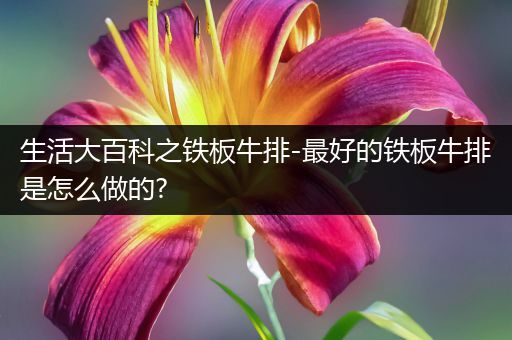 生活大百科之铁板牛排-最好的铁板牛排是怎么做的?