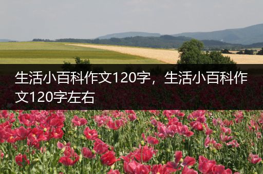 生活小百科作文120字，生活小百科作文120字左右