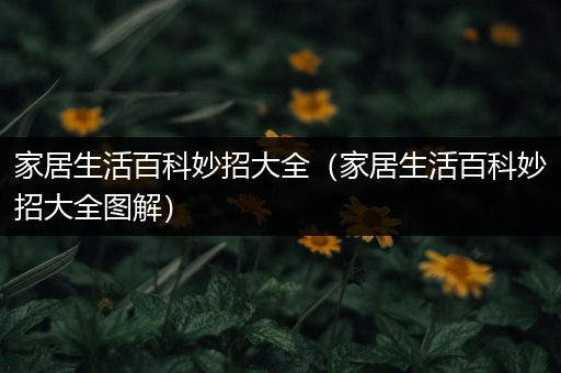 家居生活百科妙招大全（家居生活百科妙招大全图解）