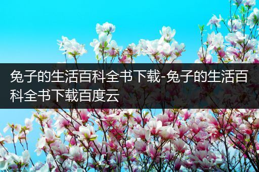 兔子的生活百科全书下载-兔子的生活百科全书下载百度云