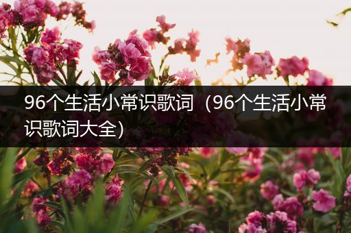 96个生活小常识歌词（96个生活小常识歌词大全）