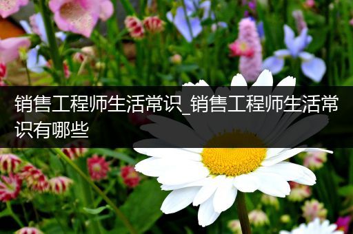 销售工程师生活常识_销售工程师生活常识有哪些