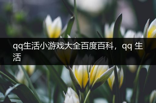 qq生活小游戏大全百度百科，qq 生活