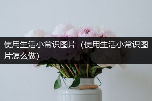 使用生活小常识图片（使用生活小常识图片怎么做）