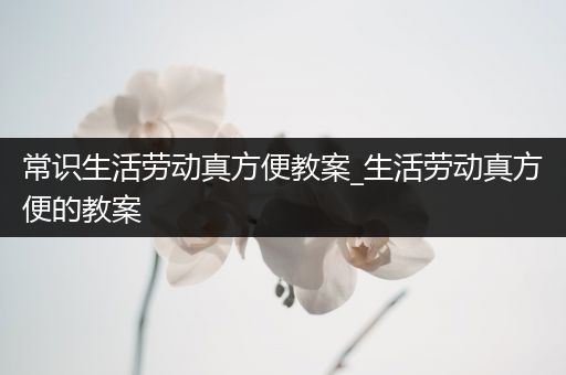 常识生活劳动真方便教案_生活劳动真方便的教案