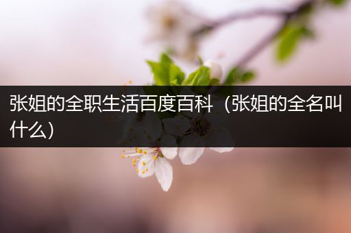 张姐的全职生活百度百科（张姐的全名叫什么）