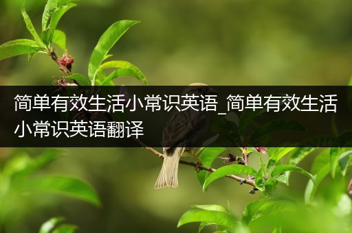 简单有效生活小常识英语_简单有效生活小常识英语翻译