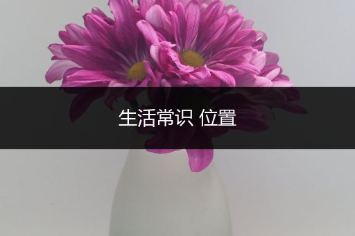 生活常识 位置