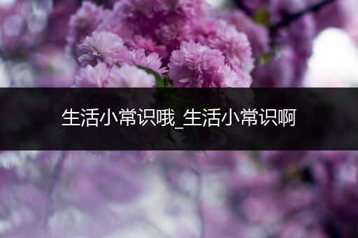 生活小常识哦_生活小常识啊