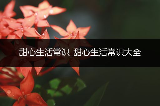 甜心生活常识_甜心生活常识大全