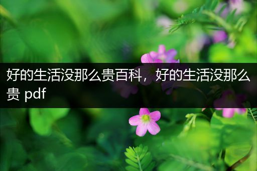 好的生活没那么贵百科，好的生活没那么贵 pdf