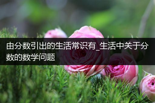 由分数引出的生活常识有_生活中关于分数的数学问题