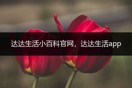 达达生活小百科官网，达达生活app