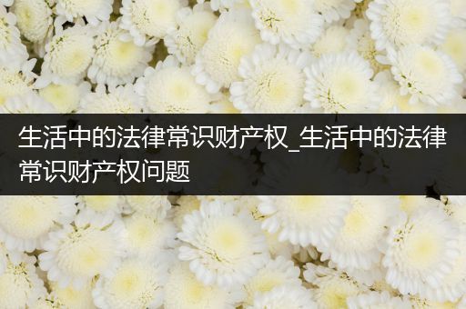 生活中的法律常识财产权_生活中的法律常识财产权问题