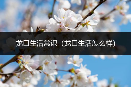 龙口生活常识（龙口生活怎么样）