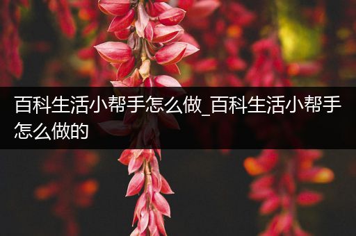 百科生活小帮手怎么做_百科生活小帮手怎么做的