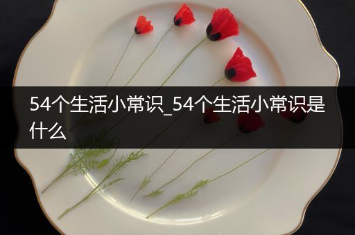 54个生活小常识_54个生活小常识是什么