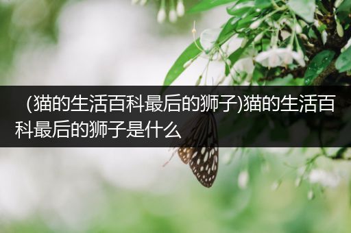 （猫的生活百科最后的狮子)猫的生活百科最后的狮子是什么