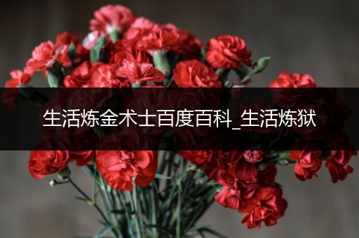 生活炼金术士百度百科_生活炼狱