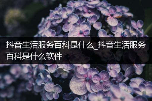 抖音生活服务百科是什么_抖音生活服务百科是什么软件