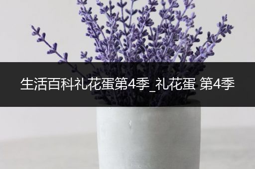 生活百科礼花蛋第4季_礼花蛋 第4季