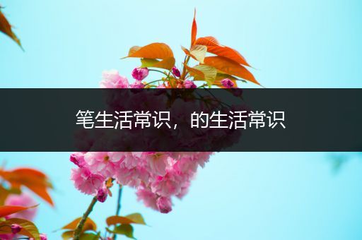 笔生活常识，的生活常识