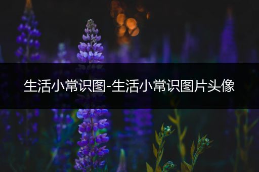 生活小常识图-生活小常识图片头像