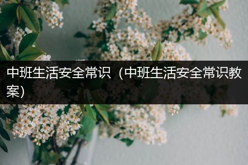 中班生活安全常识（中班生活安全常识教案）