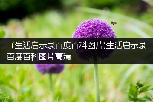 （生活启示录百度百科图片)生活启示录百度百科图片高清