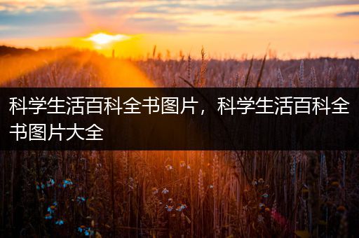 科学生活百科全书图片，科学生活百科全书图片大全