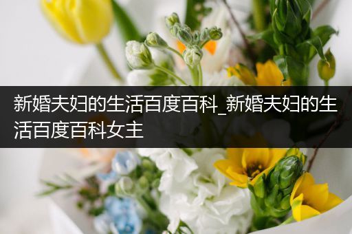 新婚夫妇的生活百度百科_新婚夫妇的生活百度百科女主