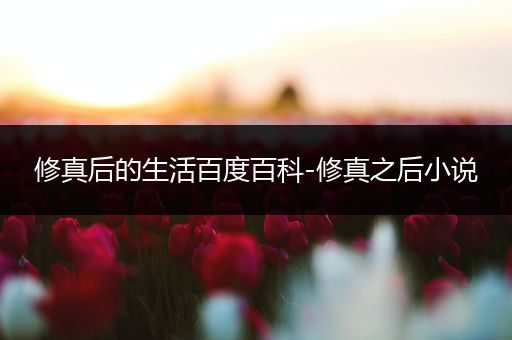 修真后的生活百度百科-修真之后小说