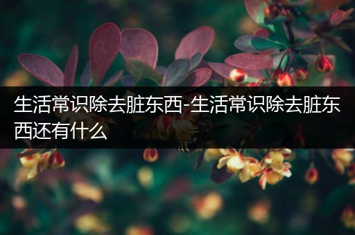 生活常识除去脏东西-生活常识除去脏东西还有什么