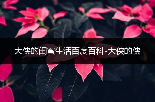 大侠的闺蜜生活百度百科-大侠的侠