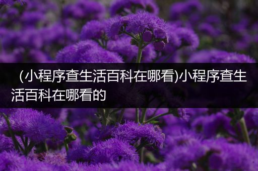 （小程序查生活百科在哪看)小程序查生活百科在哪看的