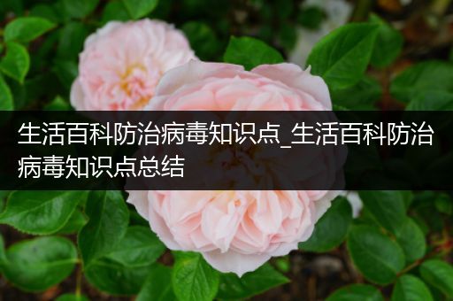 生活百科防治病毒知识点_生活百科防治病毒知识点总结