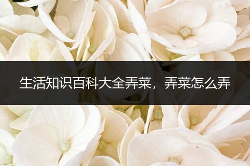 生活知识百科大全弄菜，弄菜怎么弄