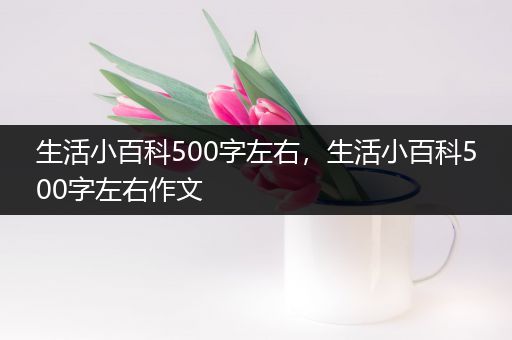 生活小百科500字左右，生活小百科500字左右作文