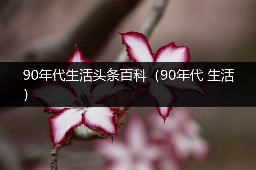 90年代生活头条百科（90年代 生活）