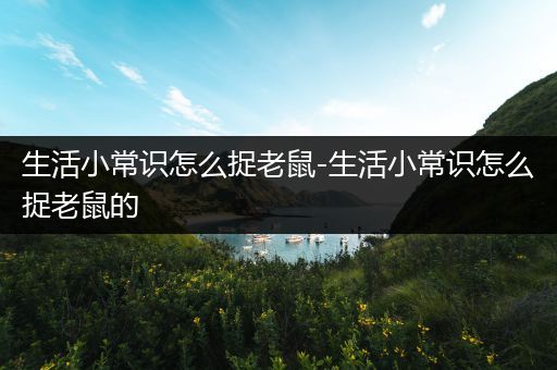 生活小常识怎么捉老鼠-生活小常识怎么捉老鼠的