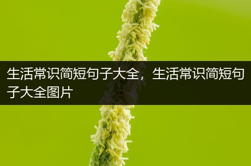 生活常识简短句子大全，生活常识简短句子大全图片