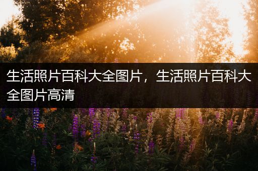 生活照片百科大全图片，生活照片百科大全图片高清