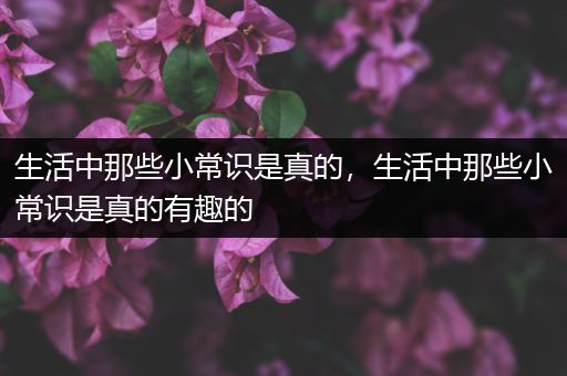 生活中那些小常识是真的，生活中那些小常识是真的有趣的