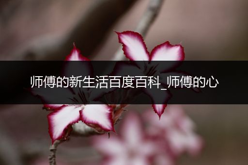 师傅的新生活百度百科_师傅的心