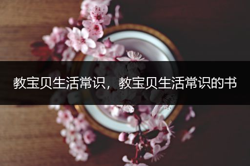 教宝贝生活常识，教宝贝生活常识的书