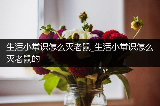 生活小常识怎么灭老鼠_生活小常识怎么灭老鼠的