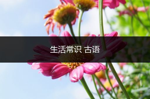 生活常识 古语