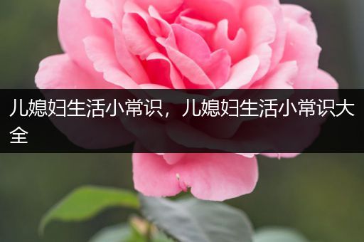 儿媳妇生活小常识，儿媳妇生活小常识大全