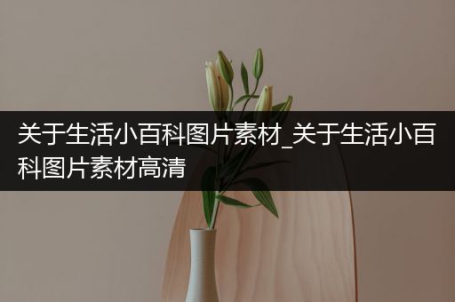 关于生活小百科图片素材_关于生活小百科图片素材高清