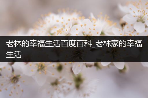 老林的幸福生活百度百科_老林家的幸福生活